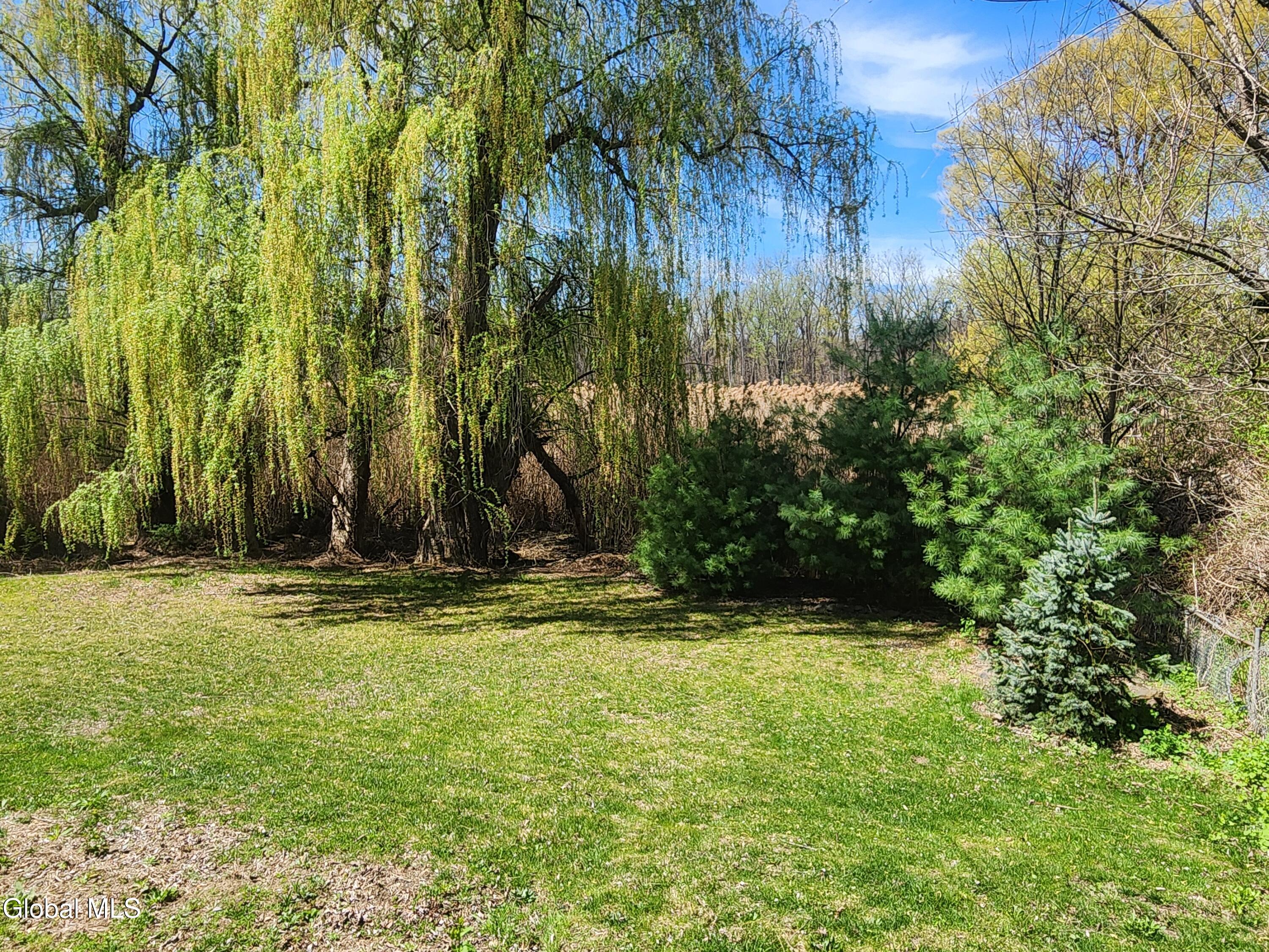 1003 River Road Schodack, NY 12156 - Photo 64 of 64 20260418_123829