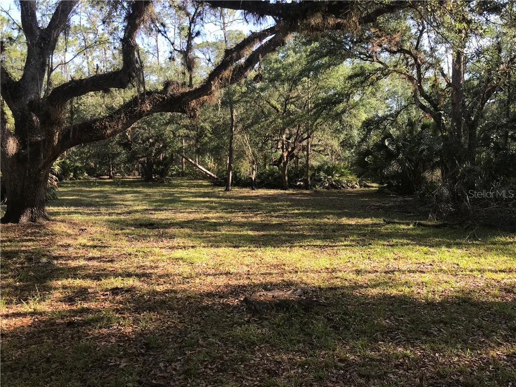 4443 Northwest North Road Arcadia, FL 34266 - Photo 1 of 1 Gallery Image 1