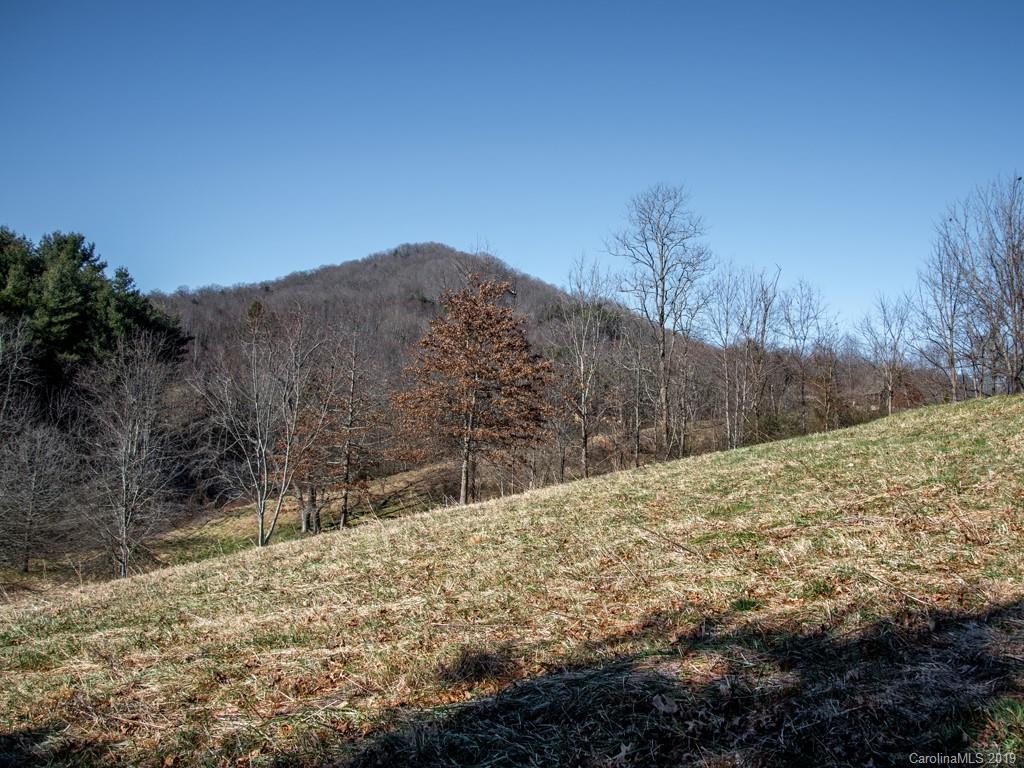 74 Sesame Street, Unit 9 Waynesville, NC 28785 - Photo 2 of 21 Gallery Image 2