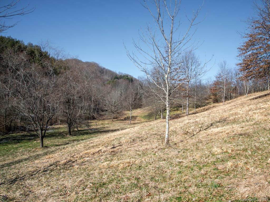 74 Sesame Street, Unit 9 Waynesville, NC 28785 - Photo 17 of 21 Gallery Image 17