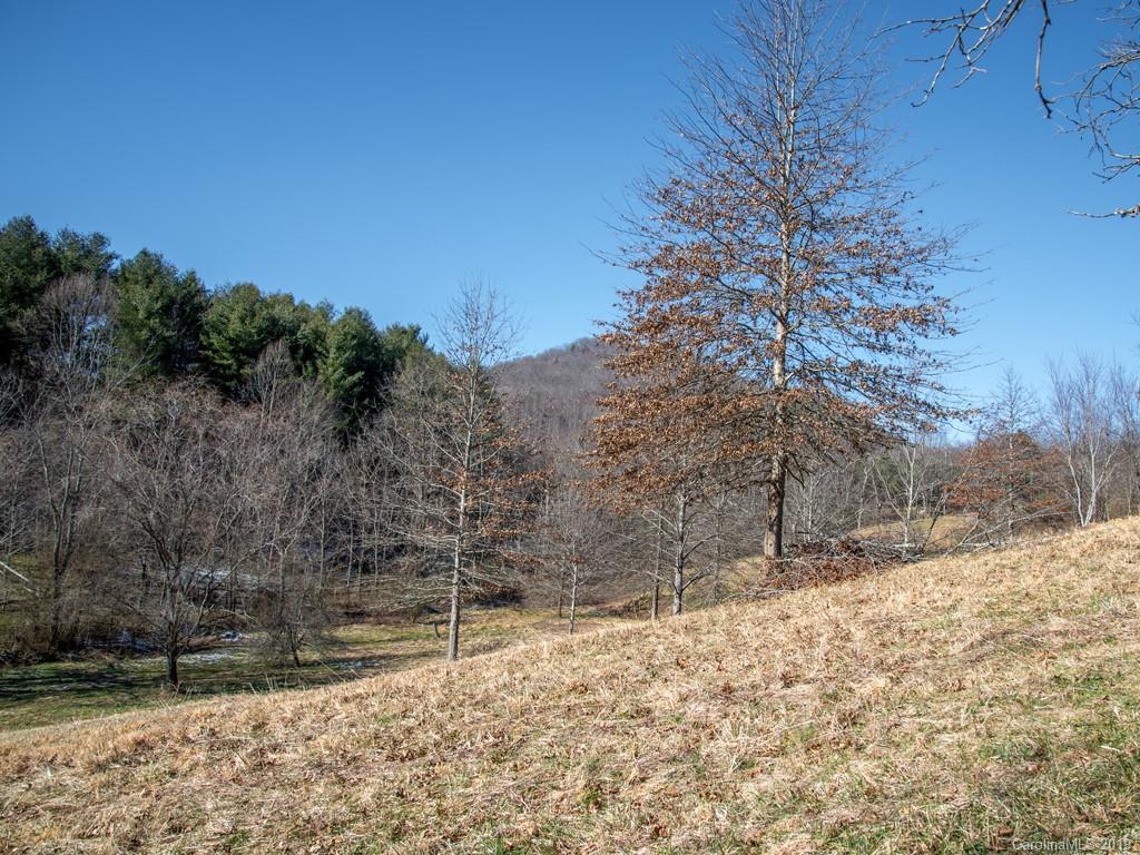 74 Sesame Street, Unit 9 Waynesville, NC 28785 - Photo 21 of 21 Gallery Image 21