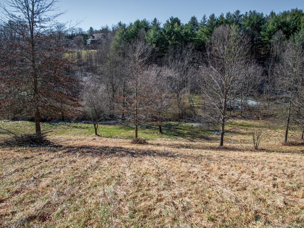 74 Sesame Street, Unit 9 Waynesville, NC 28785 - Photo 4 of 21 Gallery Image 4