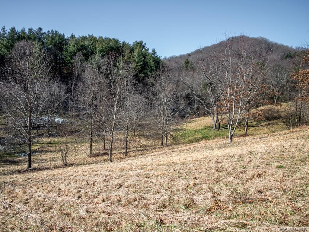 74 Sesame Street, Unit 9 Waynesville, NC 28785 - Photo 6 of 21 Gallery Image 6