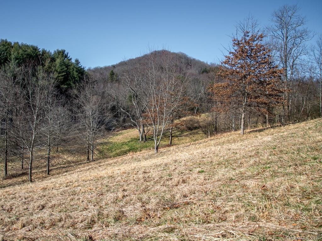 74 Sesame Street, Unit 9 Waynesville, NC 28785 - Photo 7 of 21 Gallery Image 7