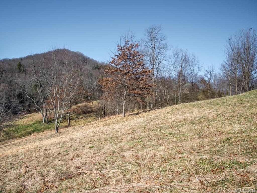 74 Sesame Street, Unit 9 Waynesville, NC 28785 - Photo 8 of 21 Gallery Image 8