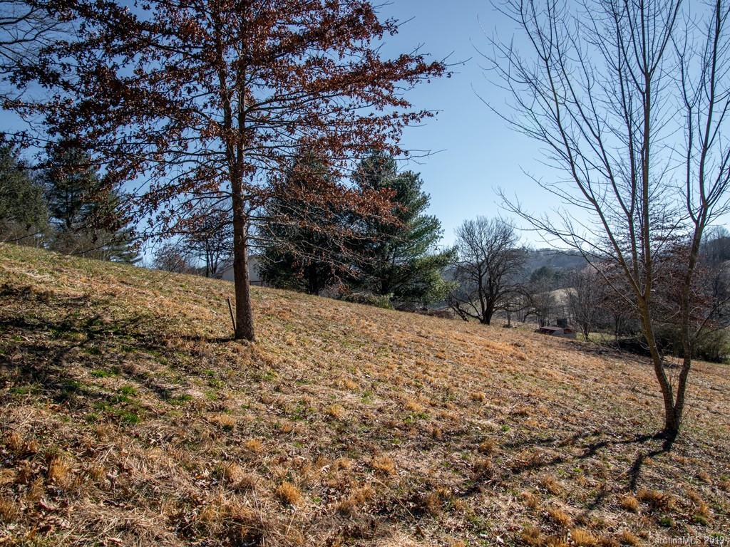 74 Sesame Street, Unit 9 Waynesville, NC 28785 - Photo 10 of 21 Gallery Image 10