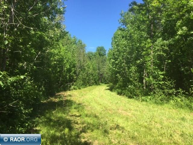 3871 Lehman Road Orr, MN 55771 - Photo 6 of 29