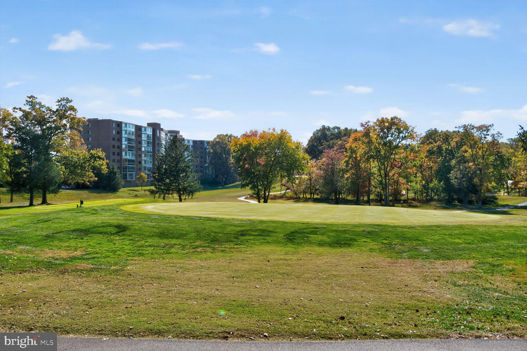 15101 Interlachen Drive, Unit 1123 Silver Spring, MD 20906 - Photo 27 of 29 a view of a grassy field