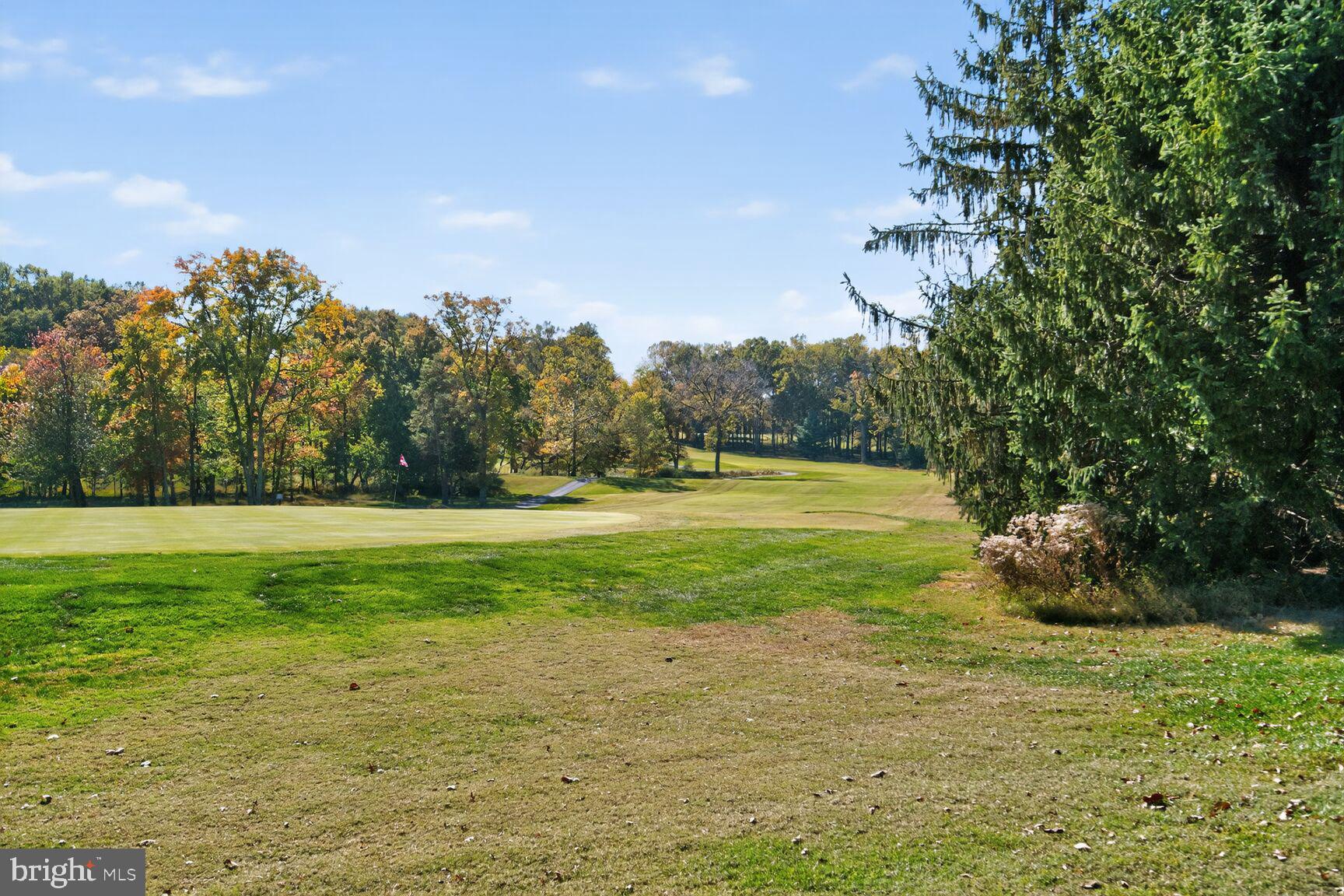 15101 Interlachen Drive, Unit 1123 Silver Spring, MD 20906 - Photo 28 of 29 a view of a field with trees in the background