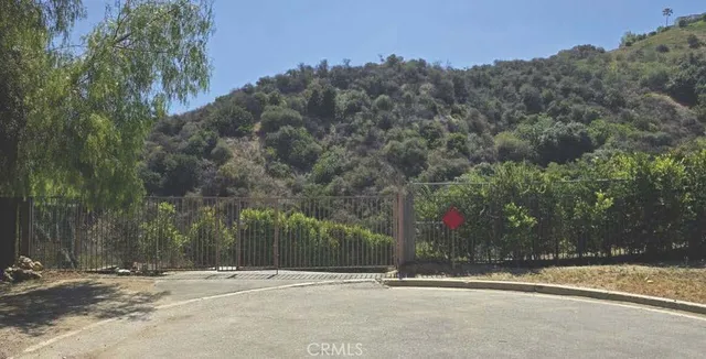 a view of a street with a tree in the background