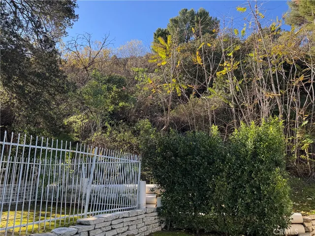 a view of a backyard with plants and lake