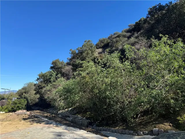 a view of a garden with plants