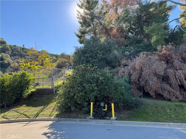 a view of a back yard