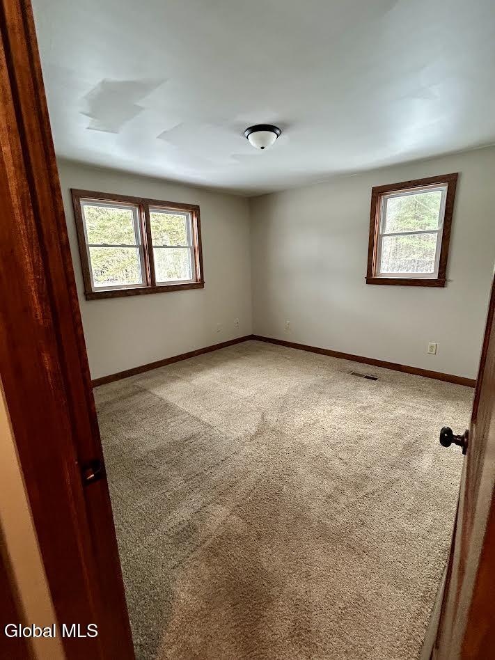 287 Bird Pond Road Chester, NY 12853 - Photo 30 of 40 b17