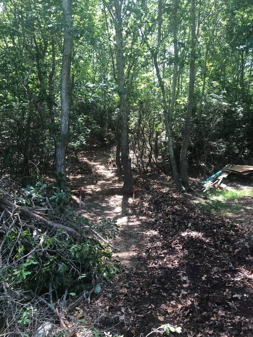 26 Breezy Drive Sag Harbor, NY 11963 - Photo 1 of 1 a view of trees