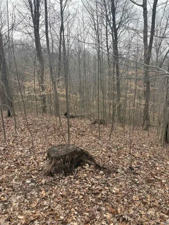 $89,900 | Campton Road, Birdseye, IN 47513