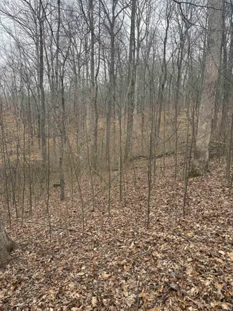 $89,900 | Campton Road, Birdseye, IN 47513