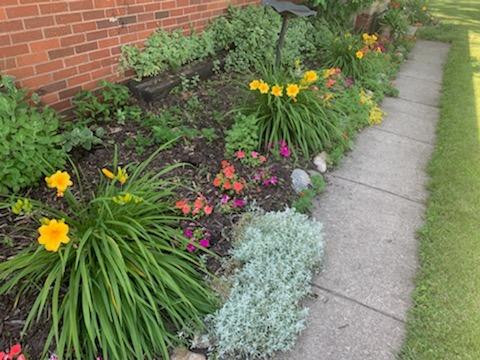 6847 Ann Arbor Road Dundee, MI 48131 - Photo 38 of 40 Photo 38