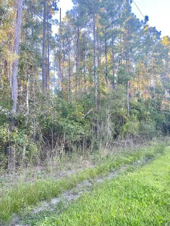 $42,000 | 653 Bryant Landing Road, Wewahitchka, FL 32465