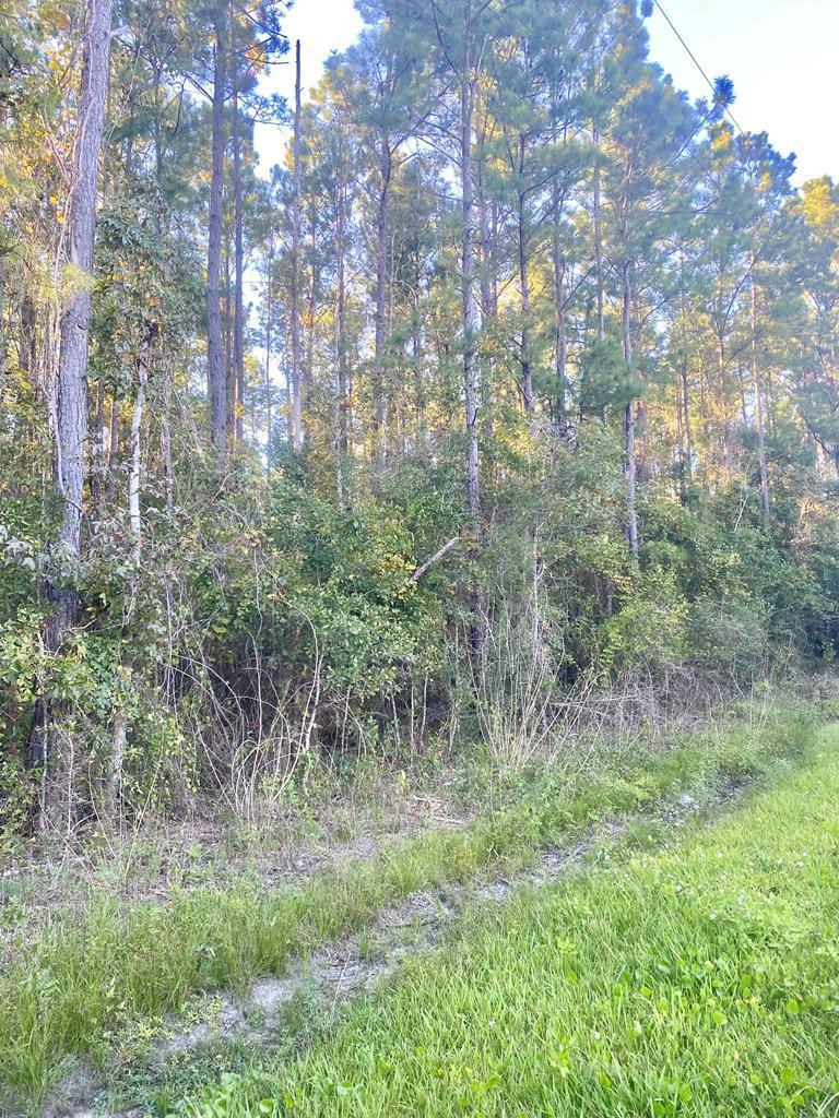 653 Bryant Landing Road Wewahitchka, FL 32465 - Photo 1 of 5