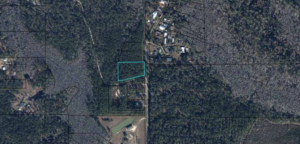 653 Bryant Landing Road Wewahitchka, FL 32465 - Photo 2 of 5