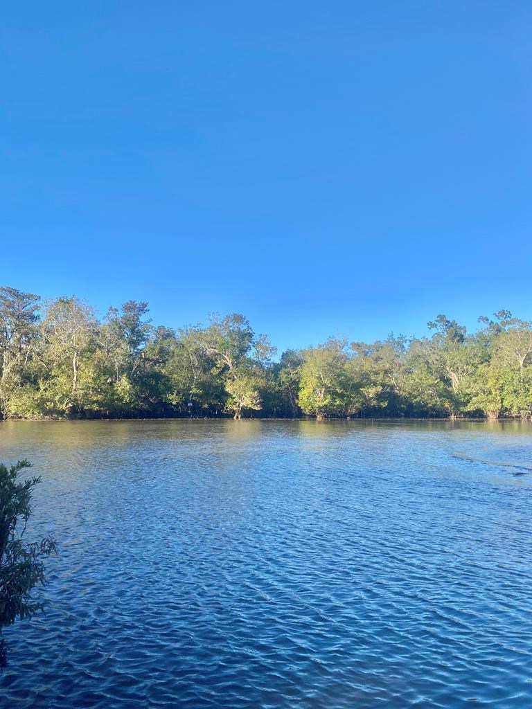653 Bryant Landing Road Wewahitchka, FL 32465 - Photo 3 of 5