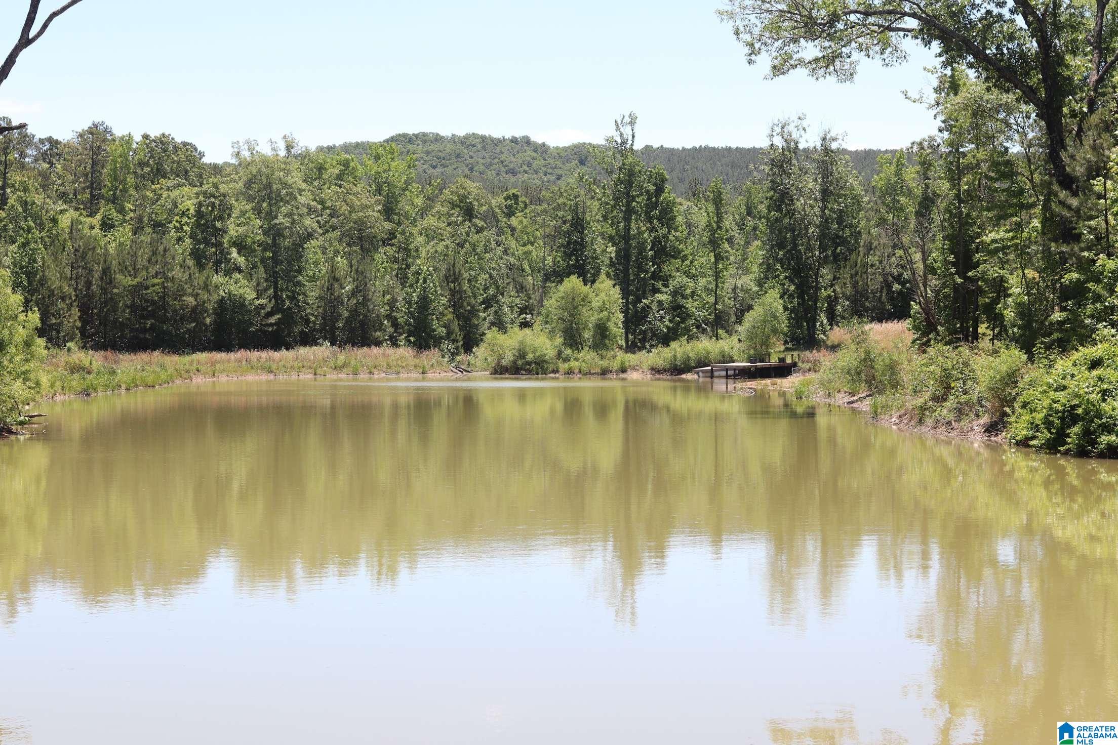 2930 Shocco Springs Road Talladega, AL 35160 - Photo 50 of 93