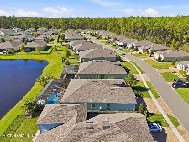 a view of small swimming pool with palm trees