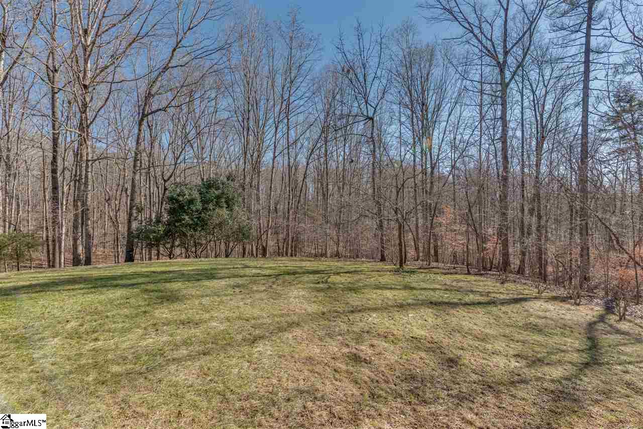 7 North Jackson Grove Road Landrum, SC 29356 - Photo 8 of 35 Gallery Image 8