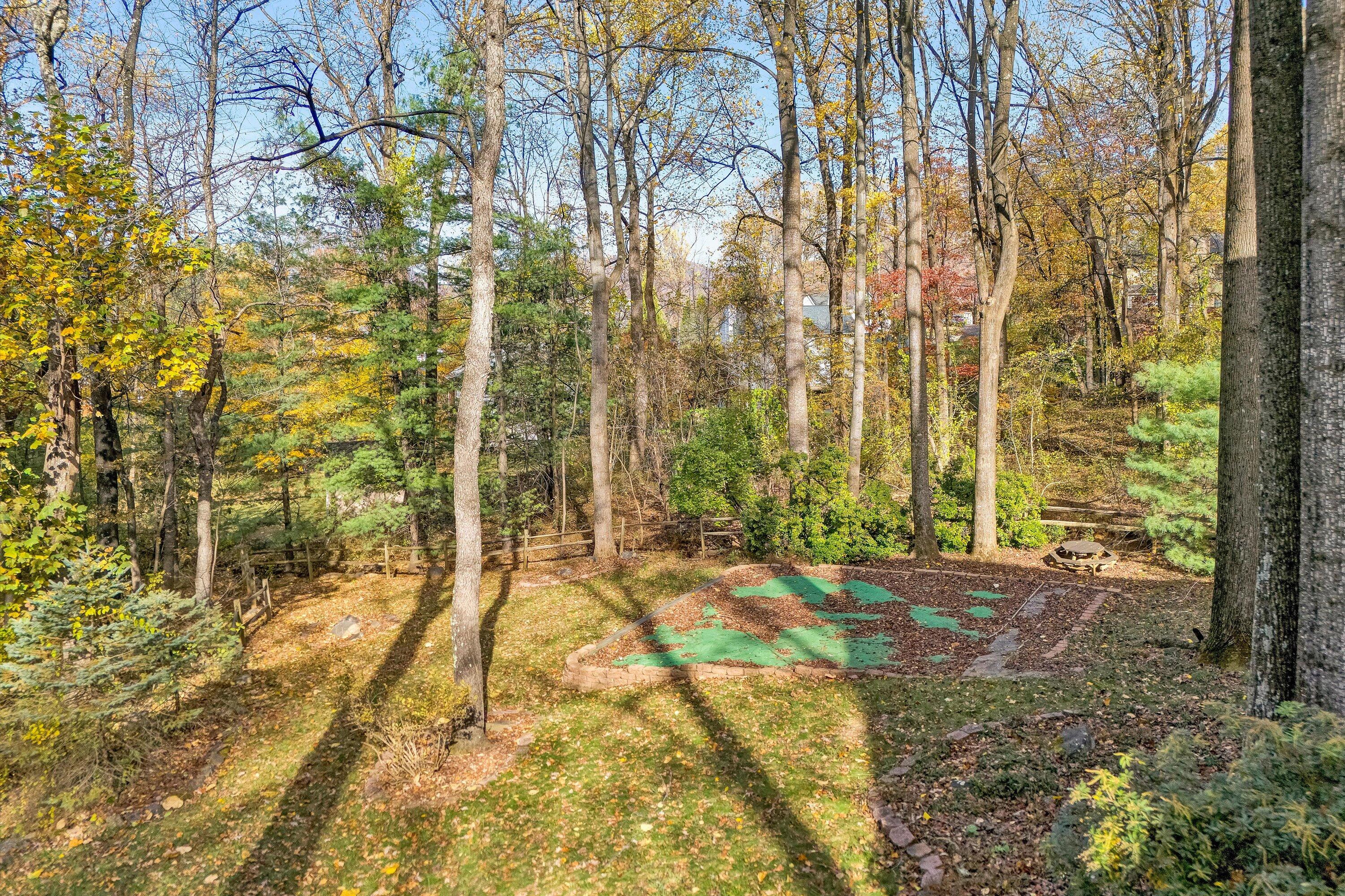 36 York Street Roanoke, VA 24019 - Photo 56 of 90 69-DJI_20251105134712_0016