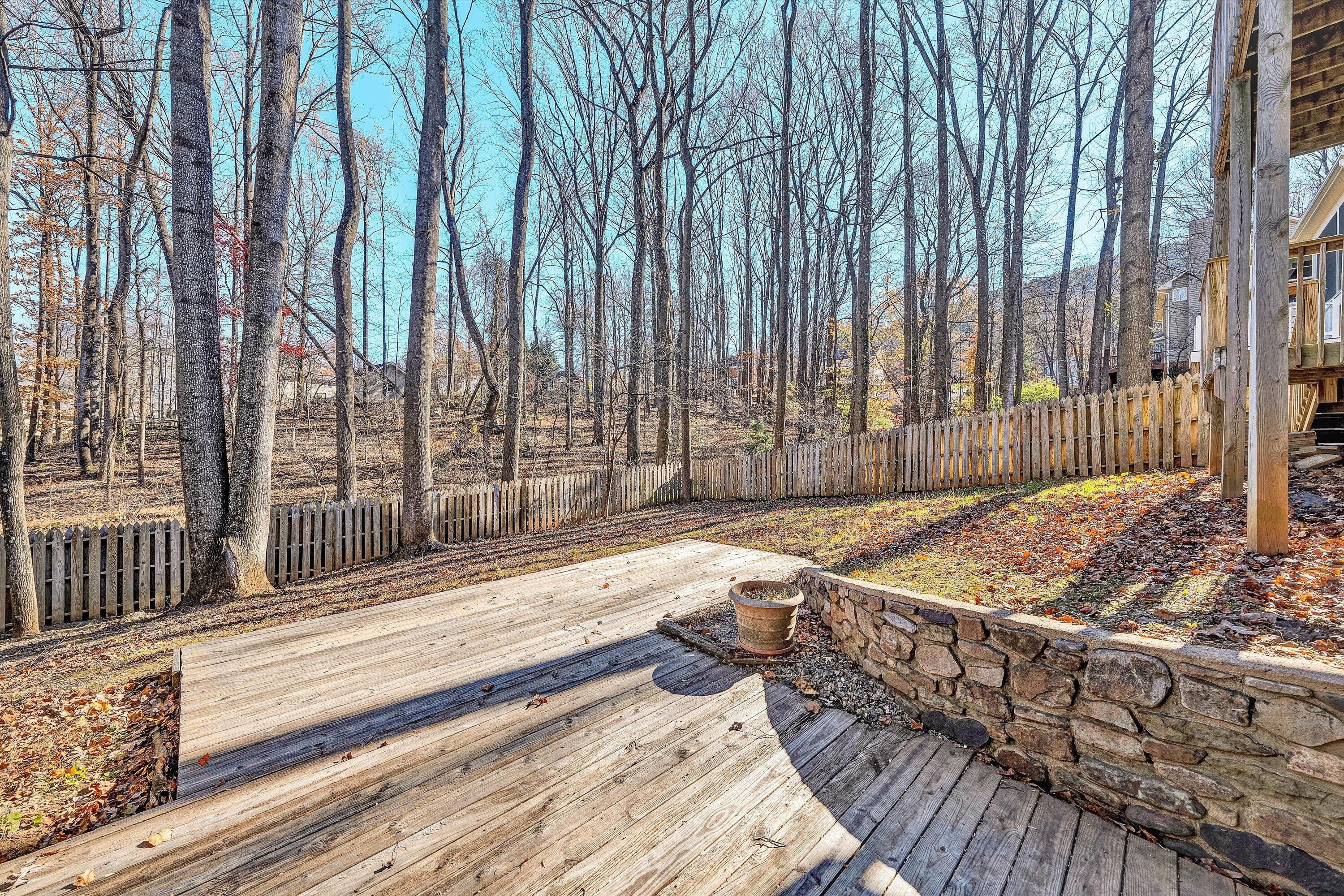 36 York Street Roanoke, VA 24019 - Photo 57 of 90 55-DSC00034