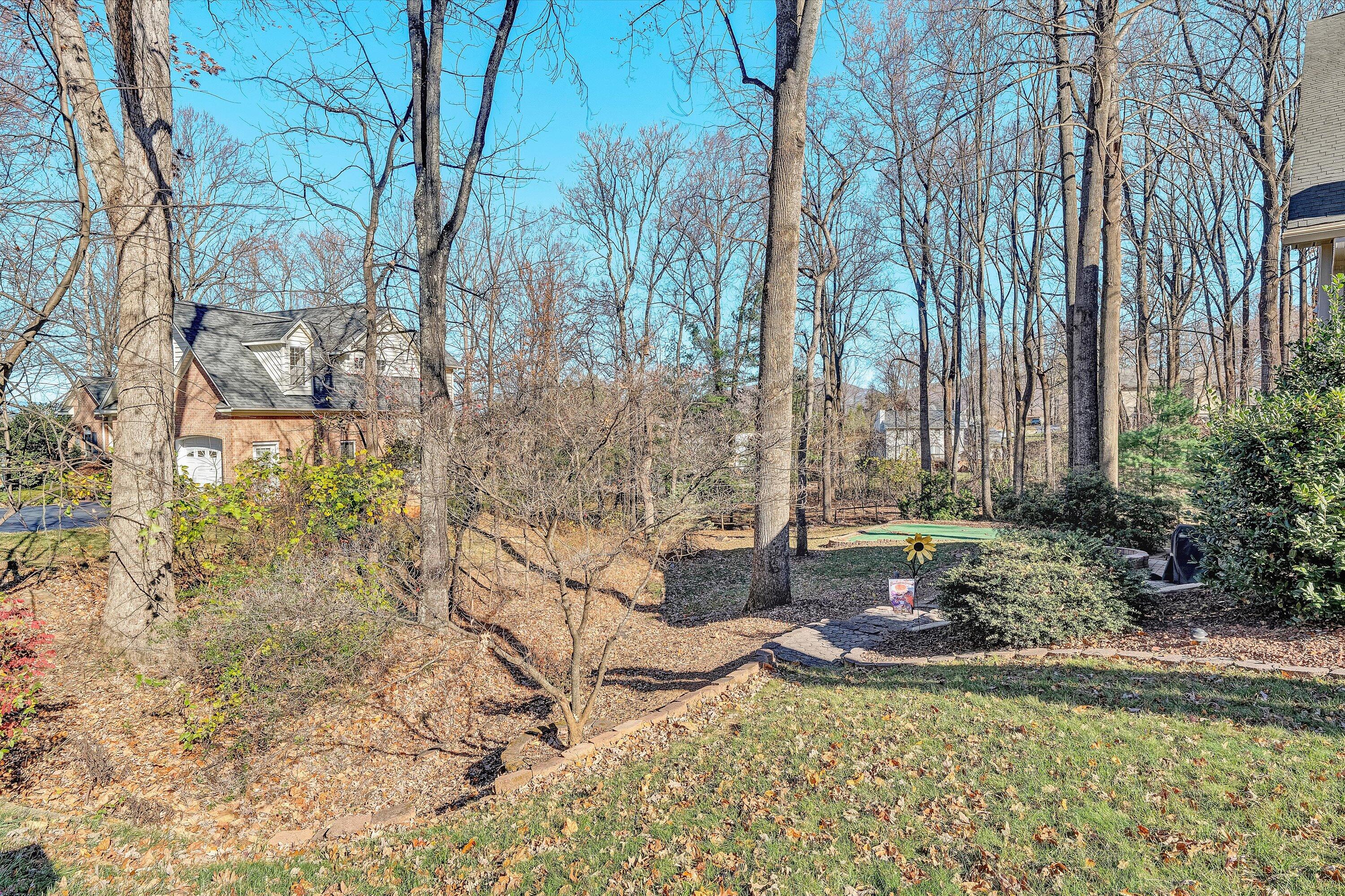 36 York Street Roanoke, VA 24019 - Photo 61 of 90 a view of swimming pool with lawn chairs and plants