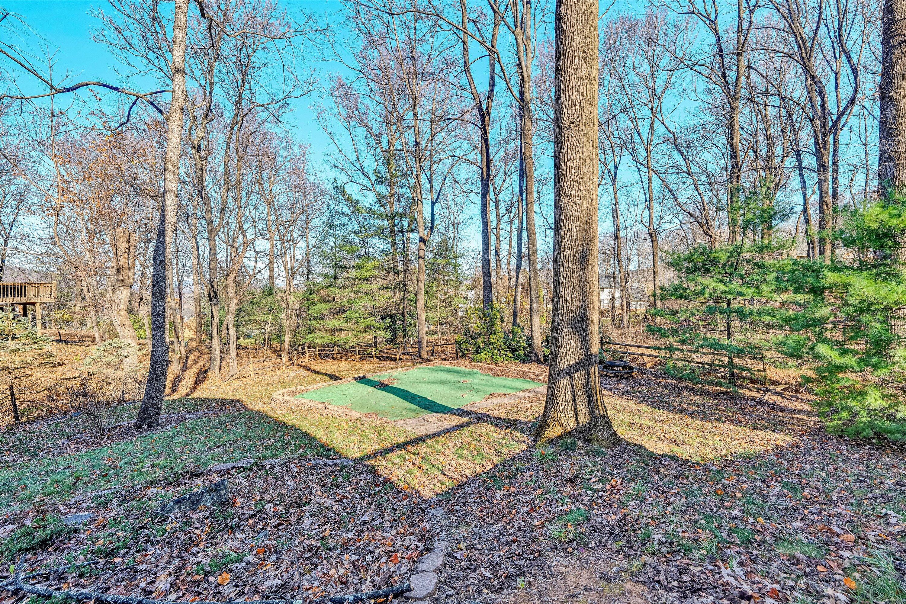 36 York Street Roanoke, VA 24019 - Photo 66 of 90 a view of a park with large trees