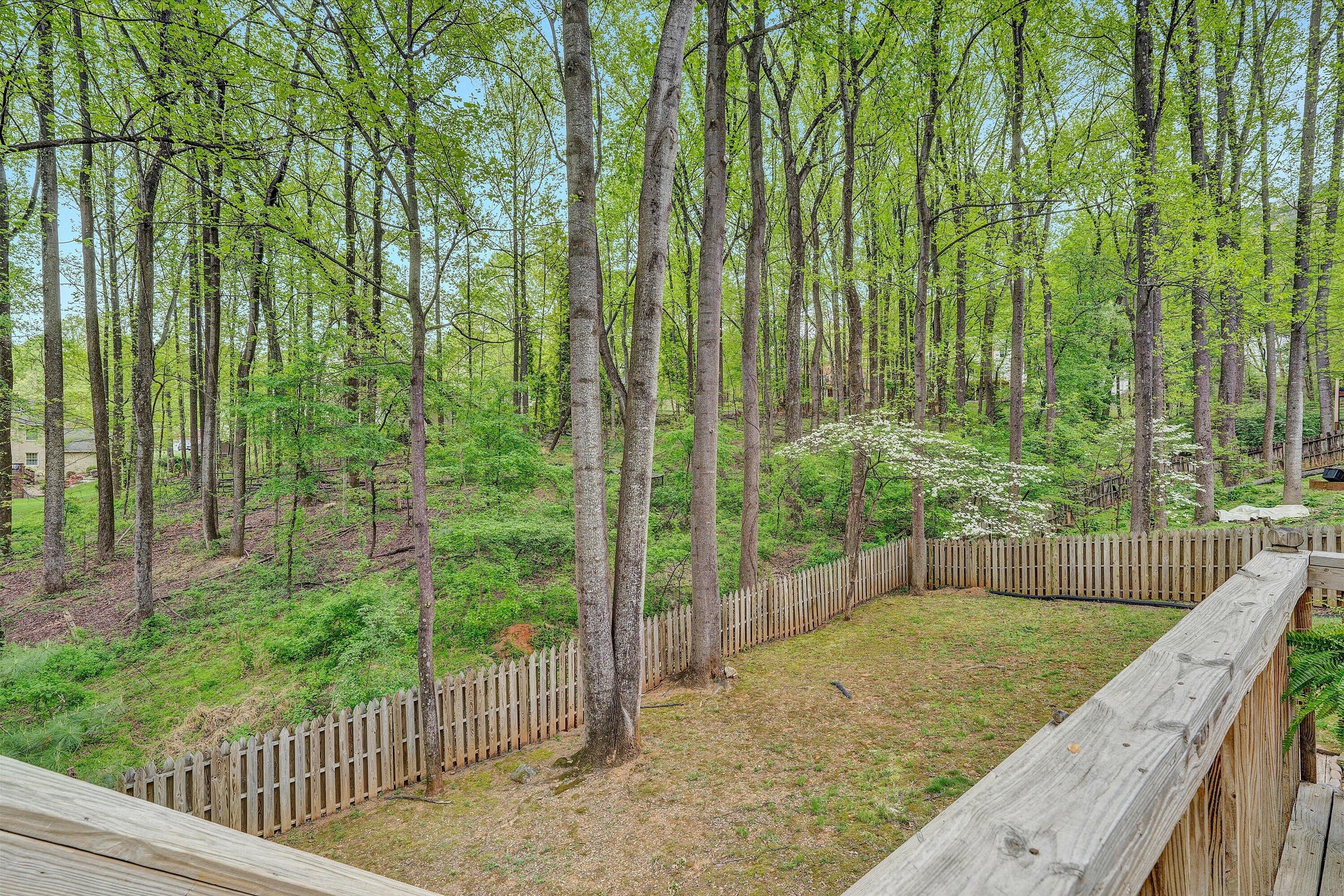 36 York Street Roanoke, VA 24019 - Photo 83 of 90 60-SGP-01888