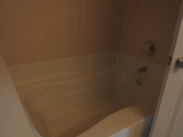 162 Owens Road Fort Mitchell, AL 36856 - Photo 8 of 13 a close up of a bathtub