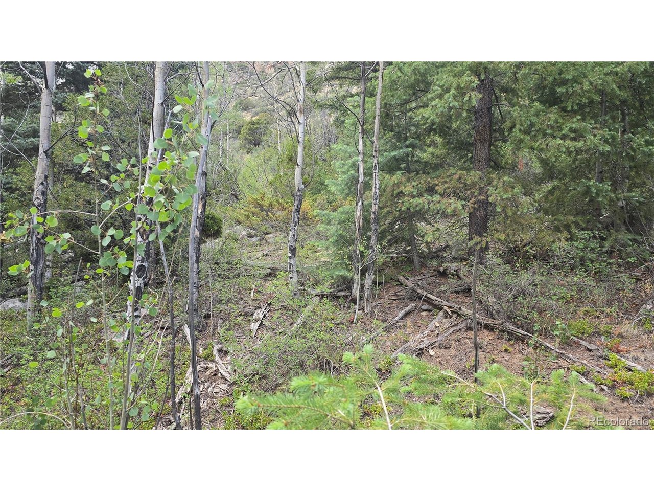 6474 Malcolm Road San Luis, CO 81152 - Photo 19 of 30