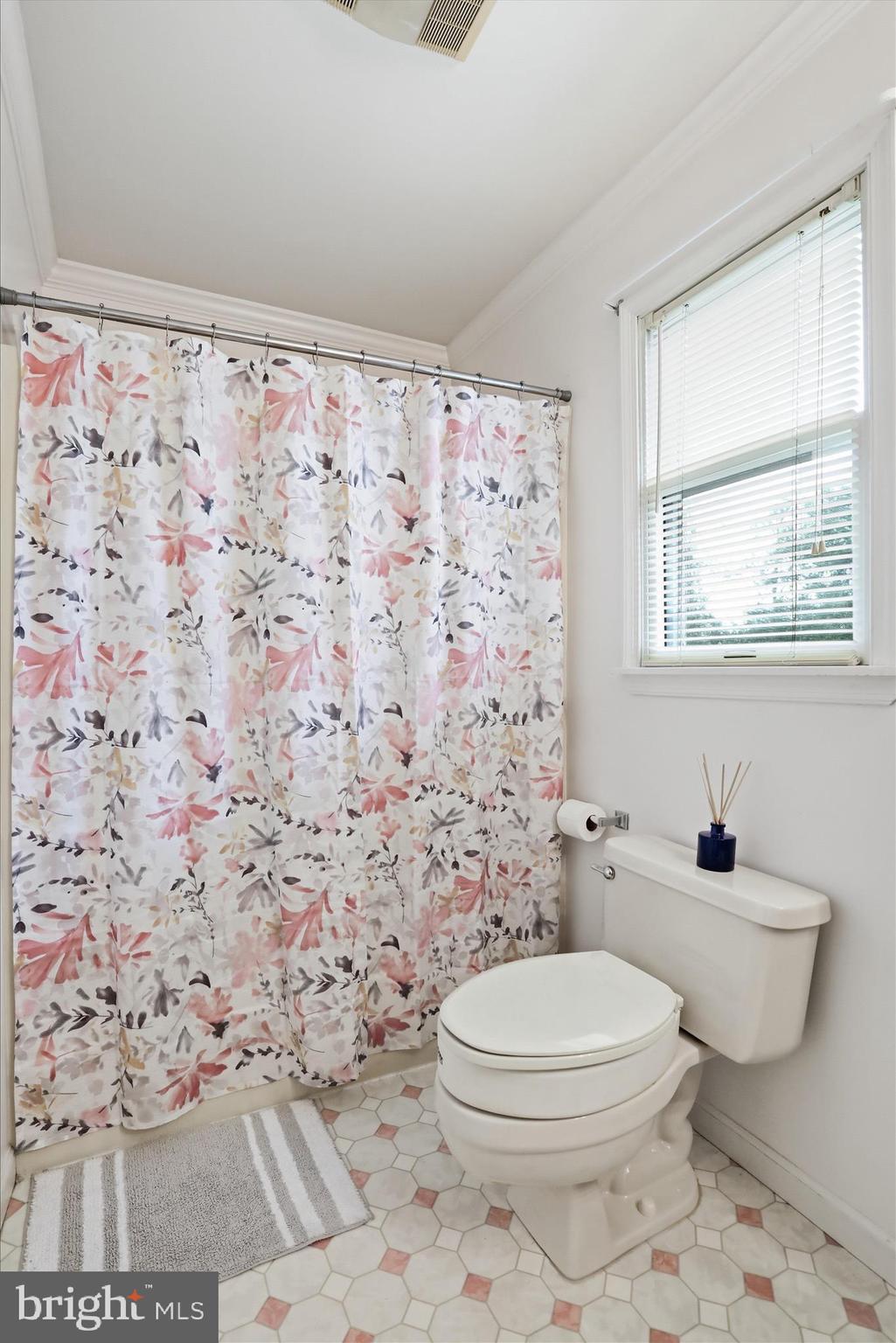 13427 Maugansville Road Hagerstown, MD 21740 - Photo 19 of 39 Main level full bathroom with tub/shower