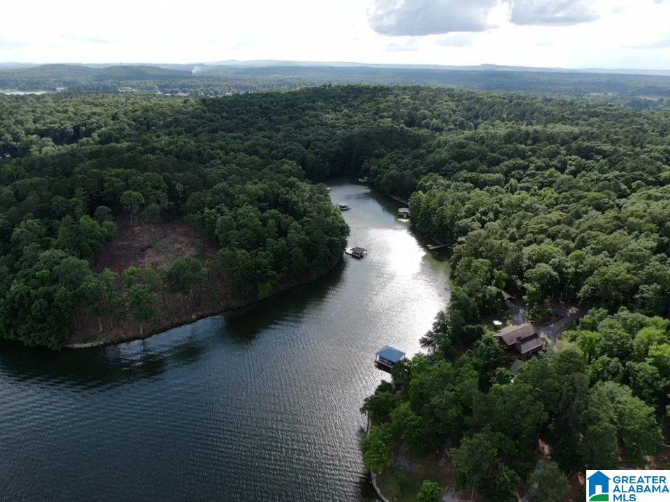 620 Black Acres Road Cropwell, AL 35054 - Photo 5 of 44