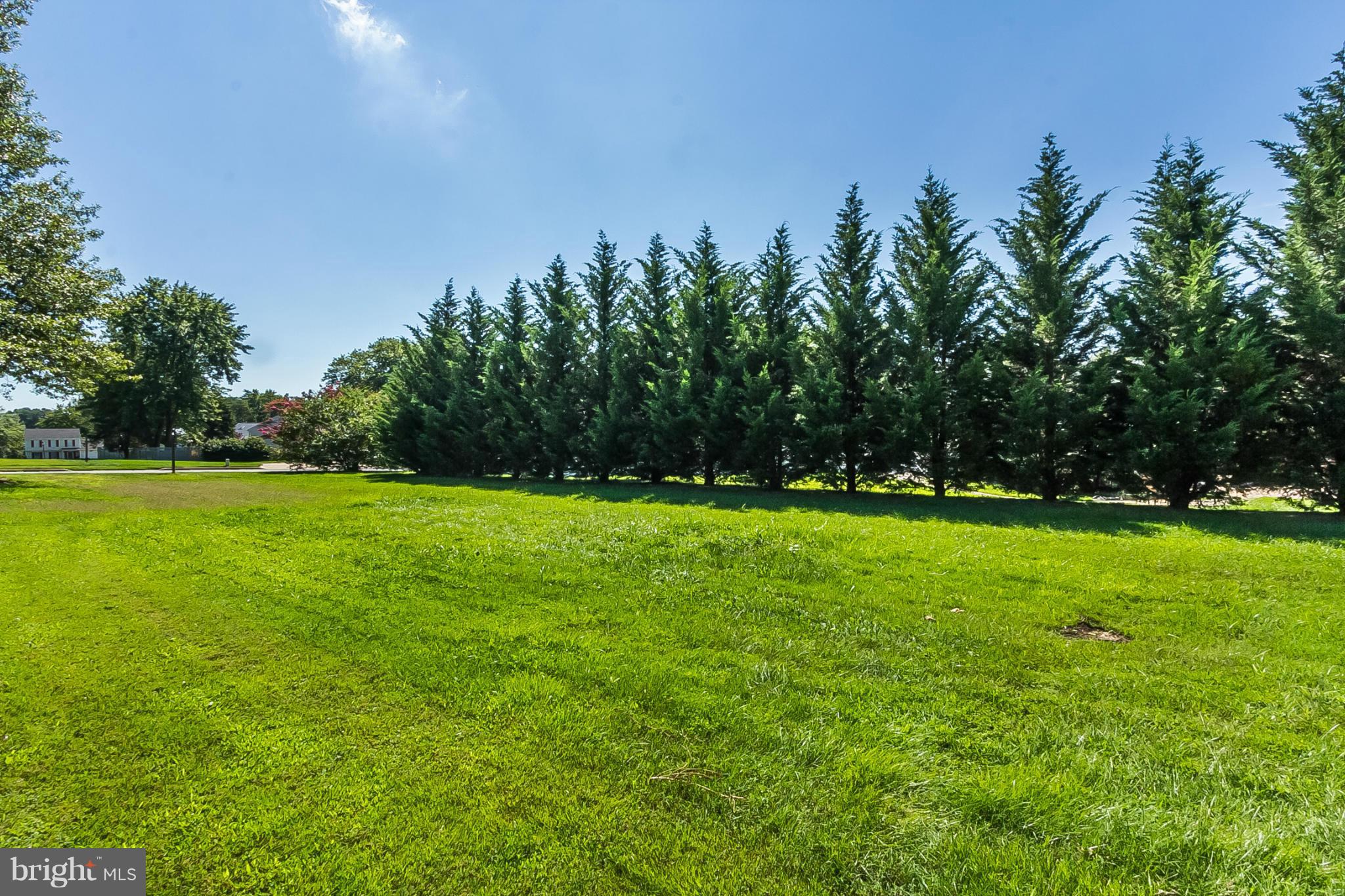 4241 4 Mills Road Baltimore, MD 21236 - Photo 23 of 25 a view of yard with green space