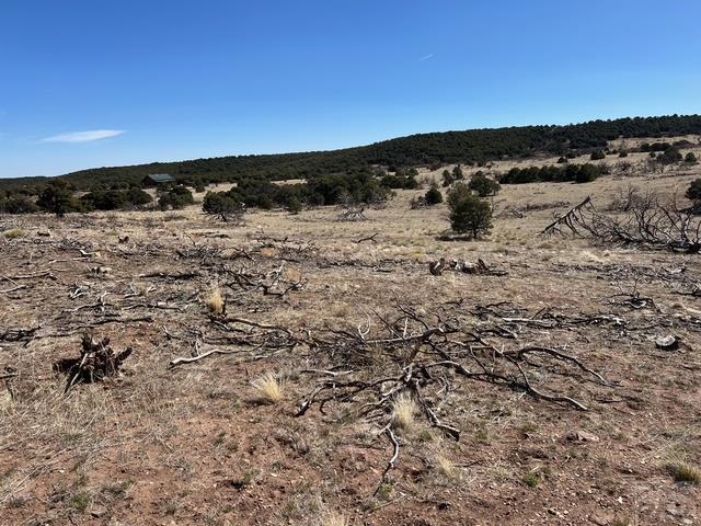 3 B Majors Ranch Road Walsenburg, CO 81089 - Photo 18 of 54