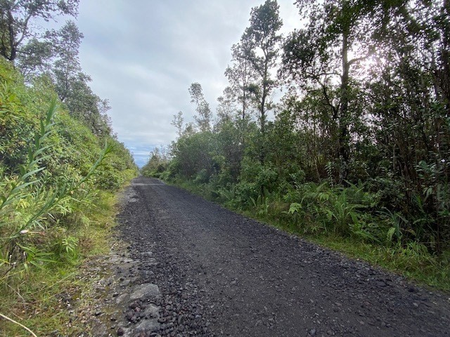 Lot M Lot M Road Mountain View, HI 96771 - Photo 1 of 5 Gallery Image 1