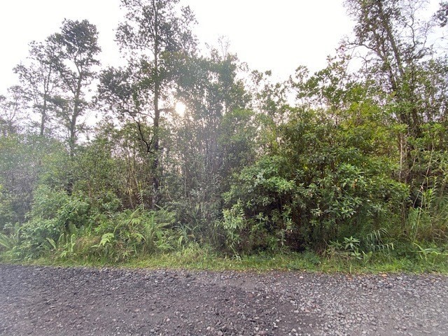 Lot M Lot M Road Mountain View, HI 96771 - Photo 2 of 5 Gallery Image 2