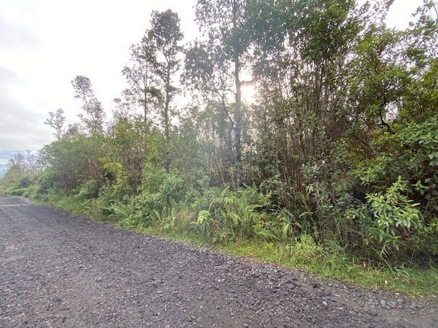 Lot M Lot M Road Mountain View, HI 96771 - Photo 3 of 5 Gallery Image 3