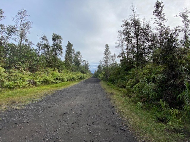 Lot M Lot M Road Mountain View, HI 96771 - Photo 4 of 5 Gallery Image 4