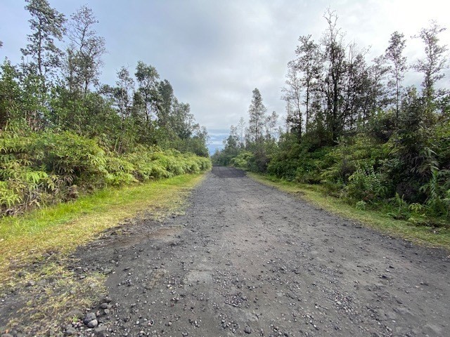 Lot M Lot M Road Mountain View, HI 96771 - Photo 5 of 5 Gallery Image 5