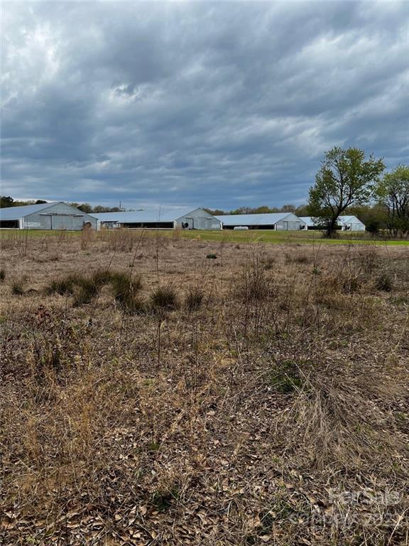 3044 Ebenezer Road Bennettsville, SC 29512 - Photo 3 of 3 Gallery Image 3