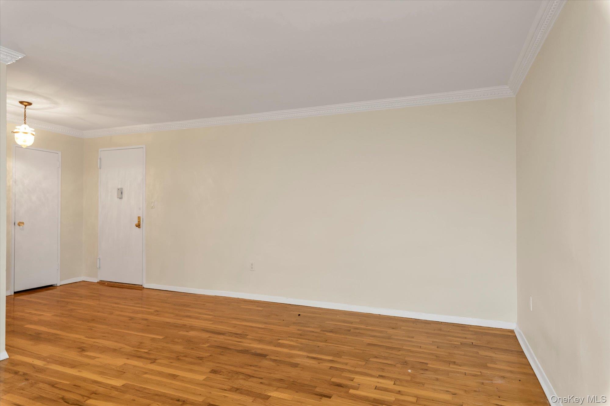 30 Pearsall Avenue, Unit 2F Glen Cove, NY 11542 - Photo 10 of 25 Spare room featuring crown molding and light wood finished floors
