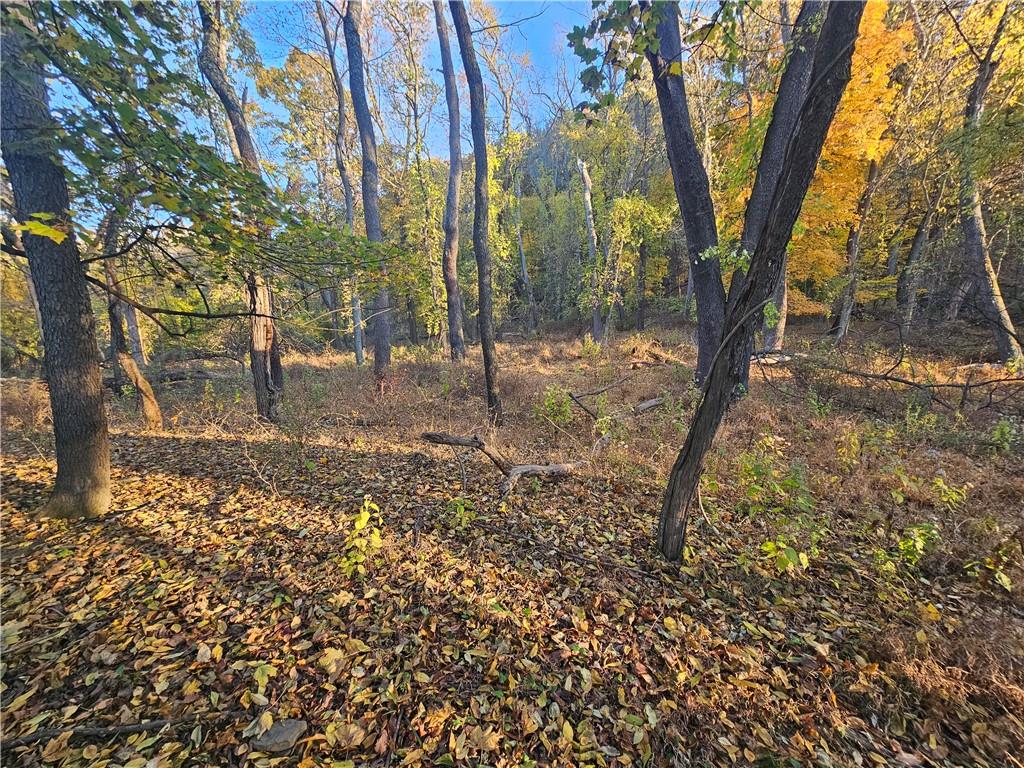 0 Glen Mitchell Road Sewickley, PA 15143 - Photo 16 of 25 a view of a yard with a tree