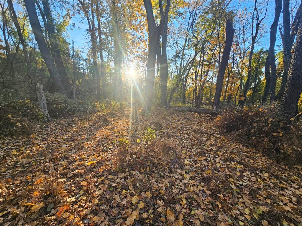 0 Glen Mitchell Road Sewickley, PA 15143 - Photo 19 of 25 a view of a tree in the middle of a yard