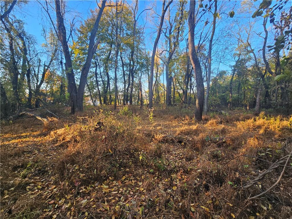 0 Glen Mitchell Road Sewickley, PA 15143 - Photo 20 of 25 a view of backyard with tree